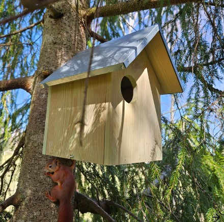 Stort ekorrhus med flera ingångar