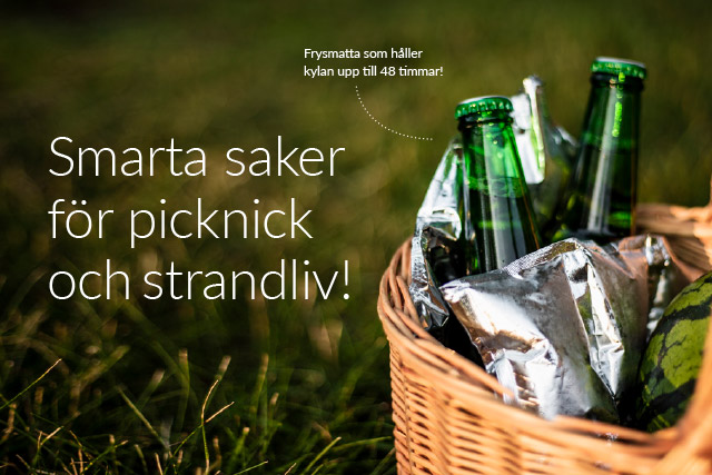 Strandliv-picknick