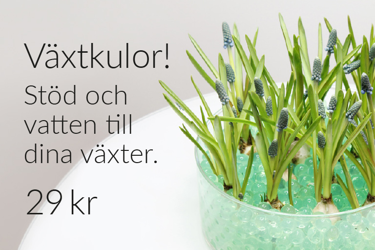 Vatten och stöd till dina blommor!