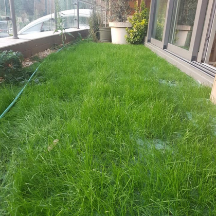 Turfquick gräsfrön på rulle, Villa Classic 40 m2 i gruppen Hemmet / Trädgård / Odla hos SmartaSaker.se (12962-VC)