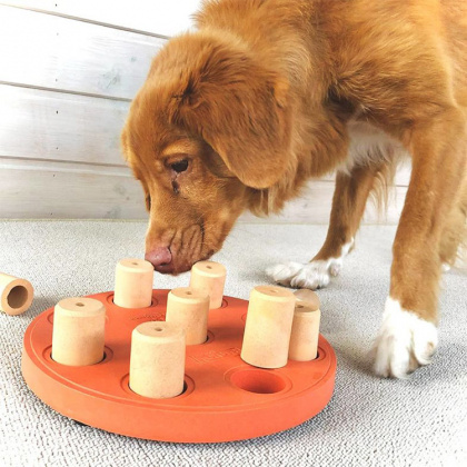 Aktivitetsspel för hunden i gruppen Fritid / Husdjur / Hundsaker hos SmartaSaker.se (13238)