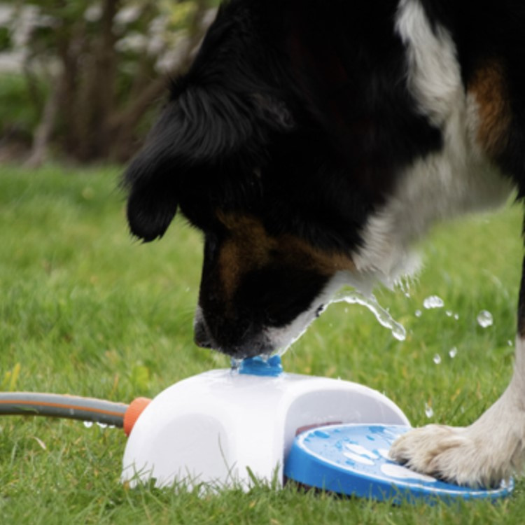 Vattenfontän till hunden i gruppen Fritid / Husdjur / Hundsaker hos SmartaSaker.se (13269)