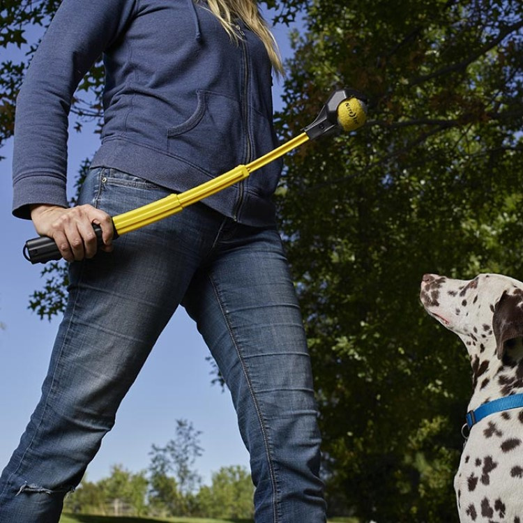 Hopfällbar bollkastare i gruppen Fritid / Husdjur / Hundsaker hos SmartaSaker.se (13681)