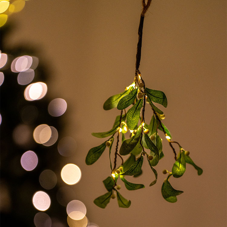 Mistel med belysning i gruppen Högtider / Advent & Jul / Julpynt hos SmartaSaker.se (13889)