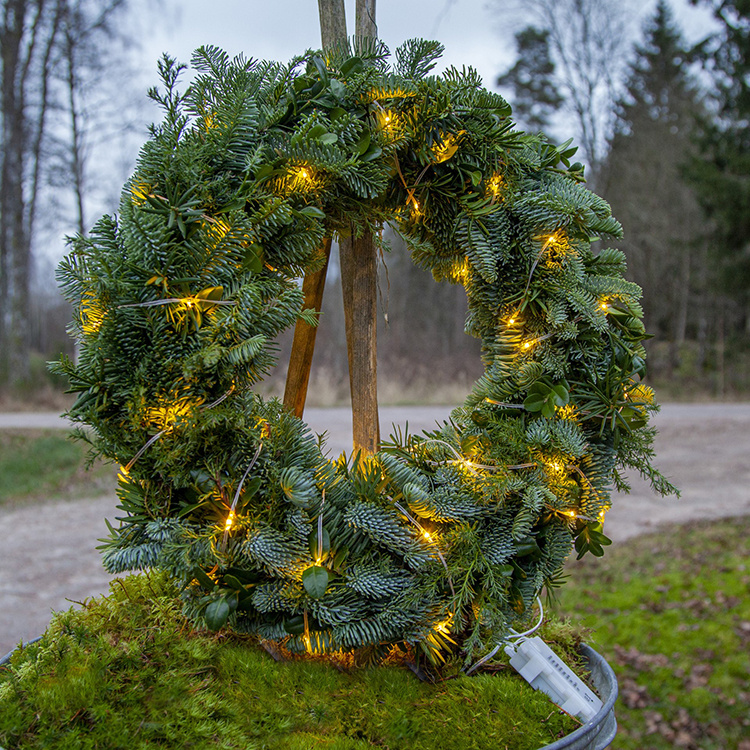 Transparent ljusslinga ute och inne i gruppen Belysning hos SmartaSaker.se (14121)