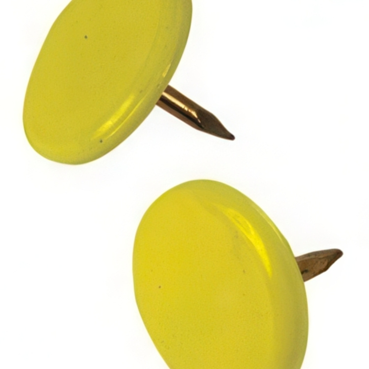 Häftstift, THUMB TACKS, 100 st i gruppen Förvaring / Kontorsmaterial hos SmartaSaker.se (41246)