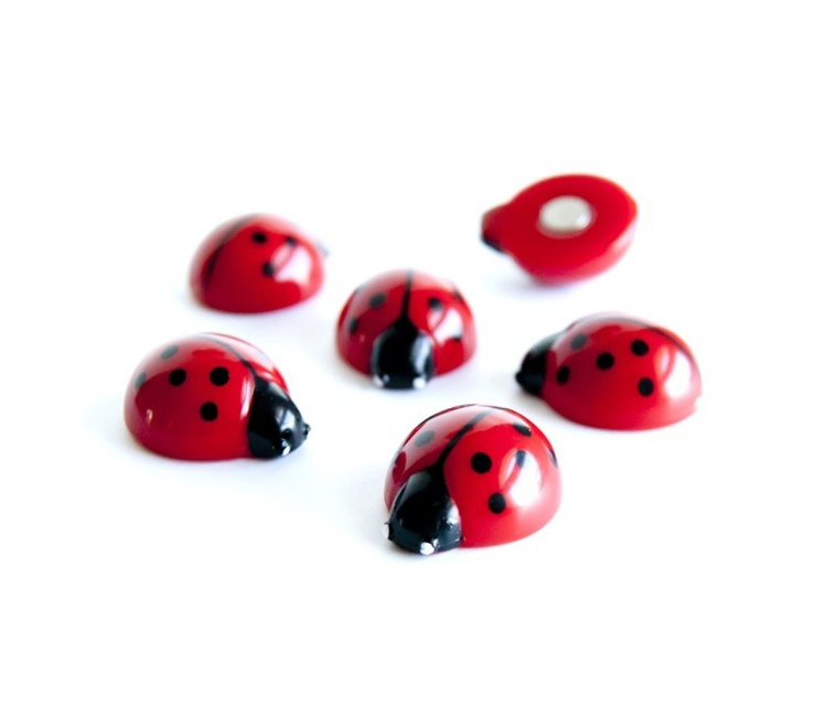 Magneter Nyckelpigor, 6st, LADYBUG, röda i gruppen Förvaring / Magneter och självhäftande hos SmartaSaker.se (41998)