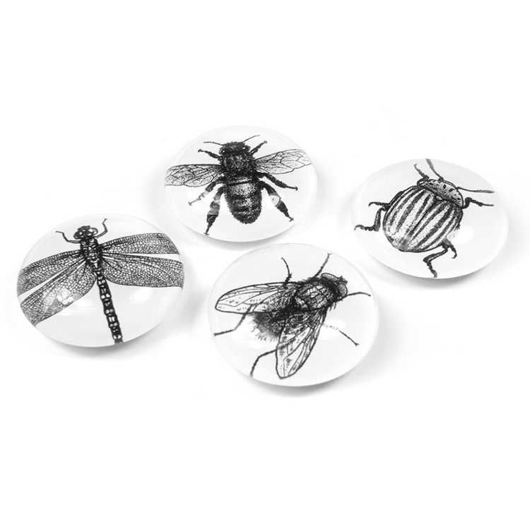 Magneter, 4 stycken, BUG, Ã˜ 3,5 cm, , Svart / Vit i gruppen Förvaring / Magneter och självhäftande hos SmartaSaker.se (42009)