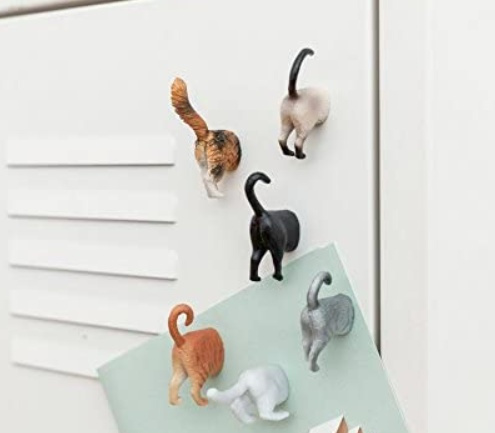 Magneter, Katter, 6 st, CAT BUTTS, Mix i gruppen Förvaring / Magneter och självhäftande hos SmartaSaker.se (42018)
