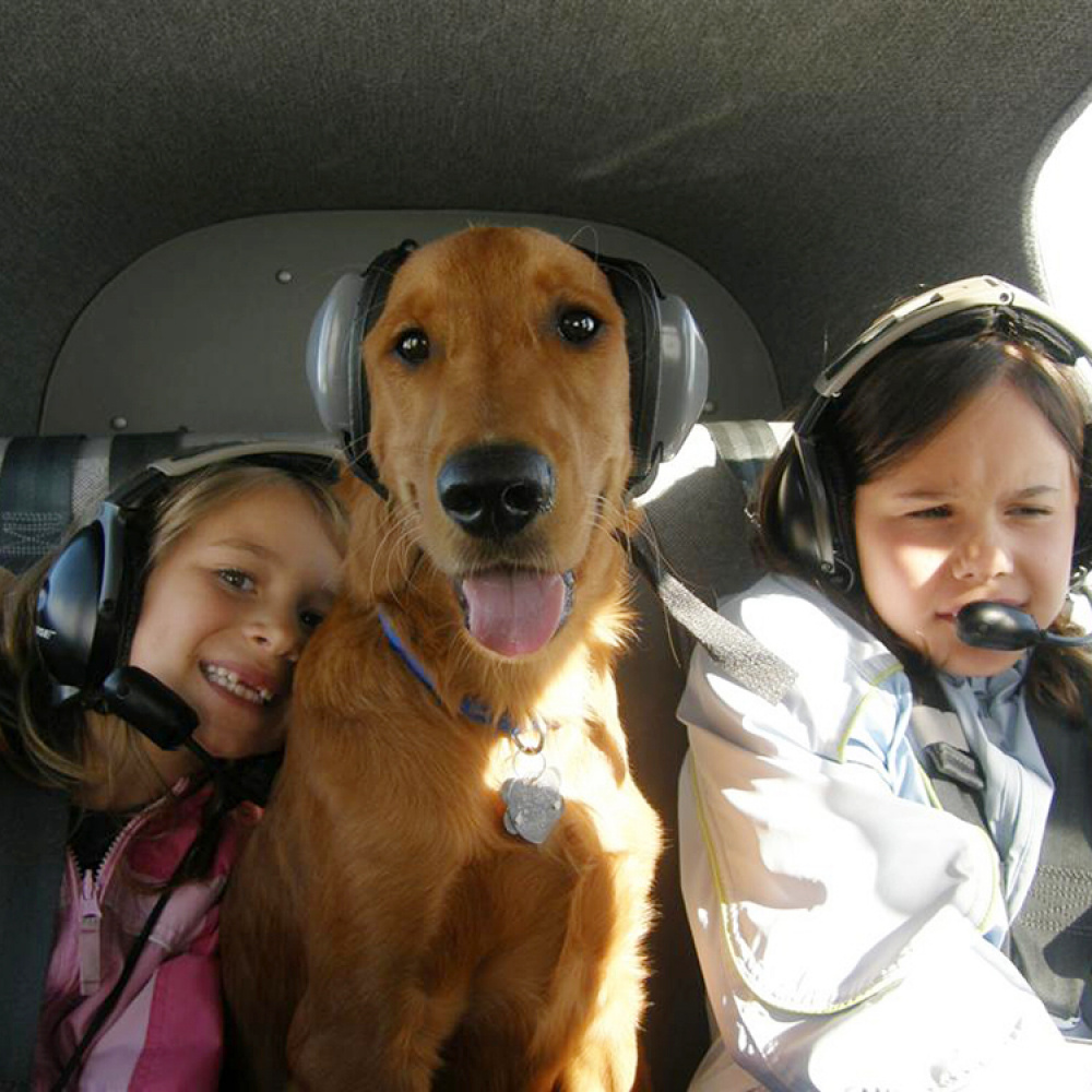 Hörselskydd för hundar i gruppen Fritid / Husdjur / Hundsaker hos SmartaSaker.se (10806)