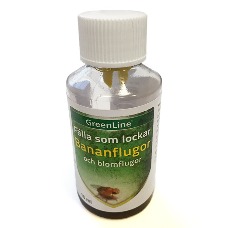 Frukt- och blomflugfälla i gruppen Säkerhet / Skadedjur hos SmartaSaker.se (10879)