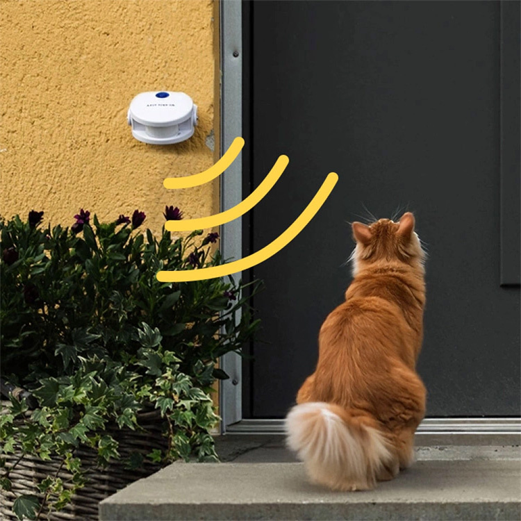 Dörrklocka för katten i gruppen Fritid / Husdjur / Kattsaker hos SmartaSaker.se (10913)