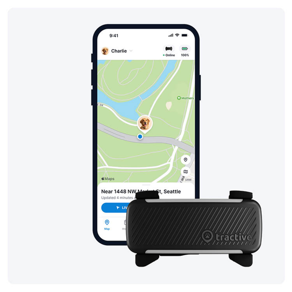 GPS till hund, Tractive i gruppen Fritid / Husdjur / Hundsaker hos SmartaSaker.se (11853)