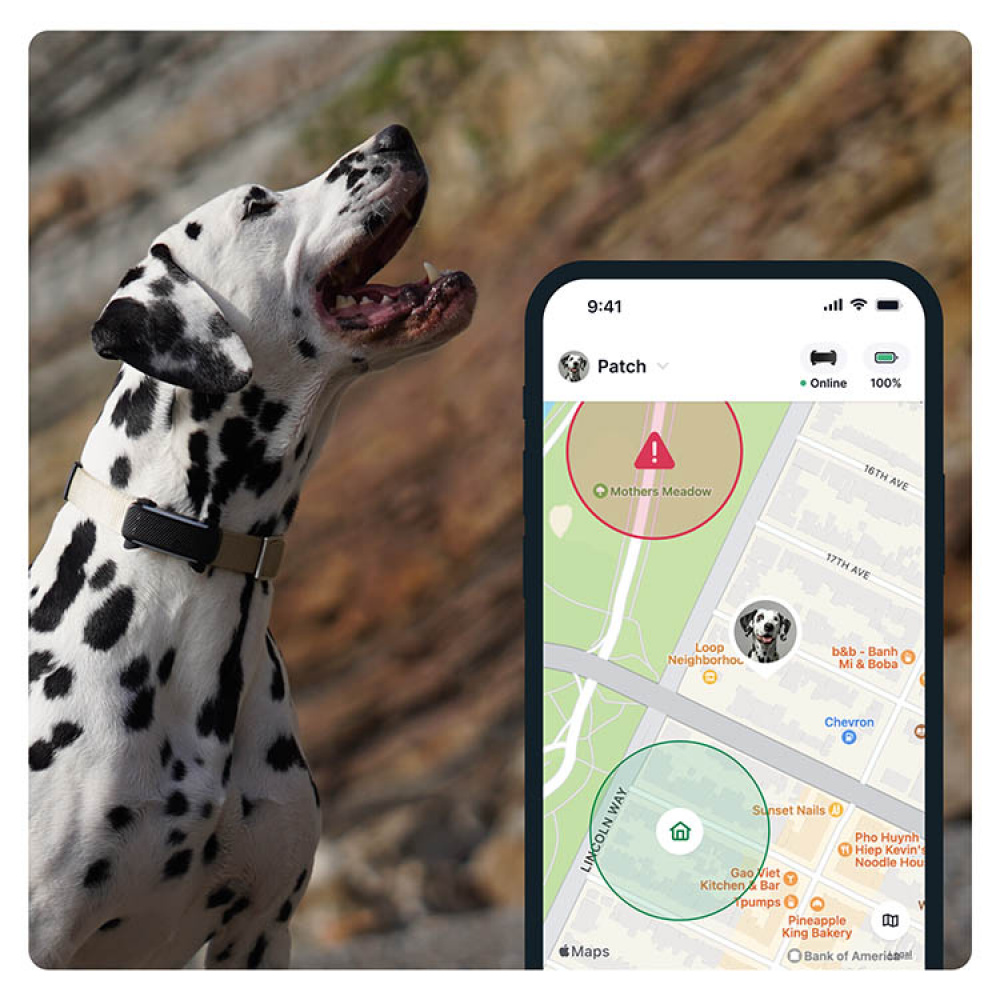 GPS till hund, Tractive i gruppen Fritid / Husdjur / Hundsaker hos SmartaSaker.se (11853)
