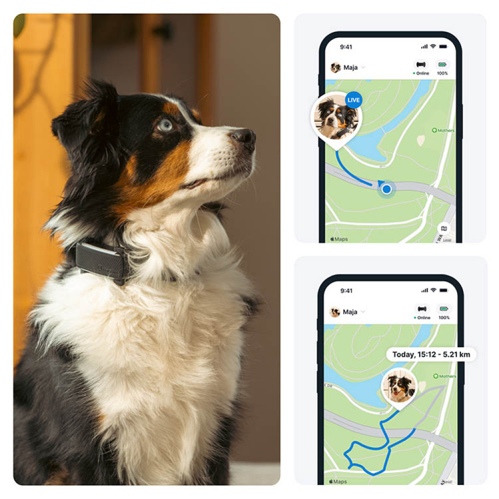 GPS till hund, Tractive i gruppen Fritid / Husdjur / Hundsaker hos SmartaSaker.se (11853)
