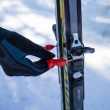 Skidhållare Fastgrip Skidhållare Fastgrip