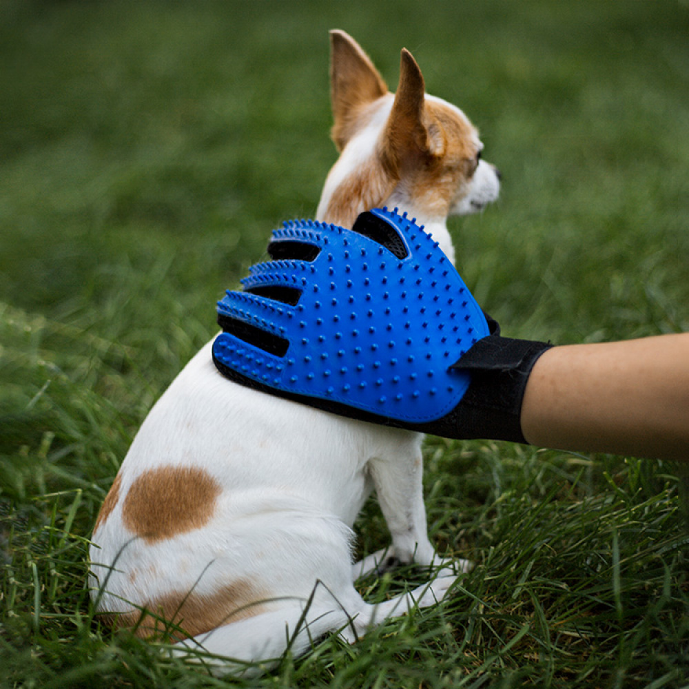 Borsthandske till hund & katt i gruppen Fritid / Husdjur hos SmartaSaker.se (12977)