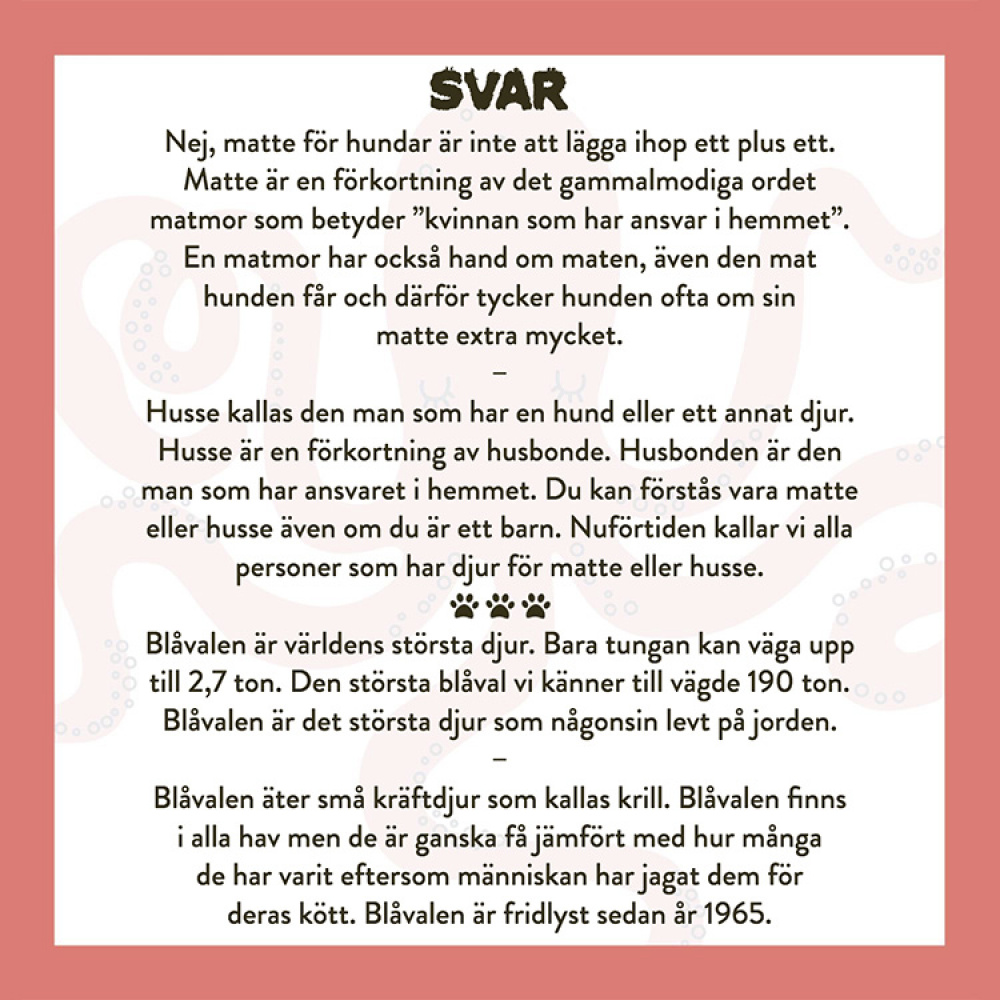 Spela mera: Allt om djur i gruppen Fritid / Spel hos SmartaSaker.se (13018)