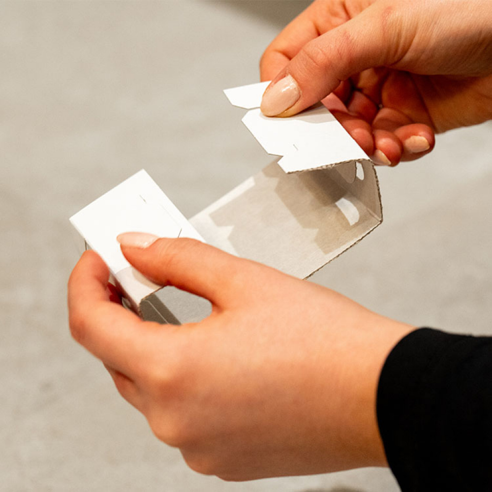 Silverfiskfälla, 10-pack i gruppen Hemmet / Miljösmart hos SmartaSaker.se (13150)