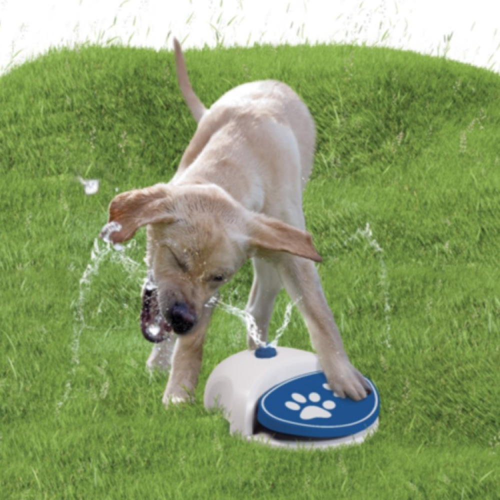 Vattenfontän till hunden i gruppen Fritid / Husdjur / Hundsaker hos SmartaSaker.se (13269)