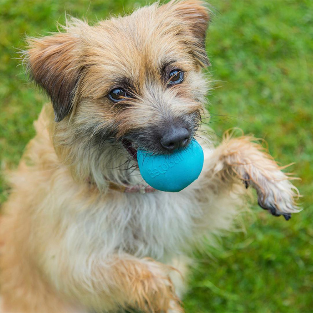 Aktivitetsboll till hunden i gruppen Fritid / Husdjur / Hundsaker hos SmartaSaker.se (13280)