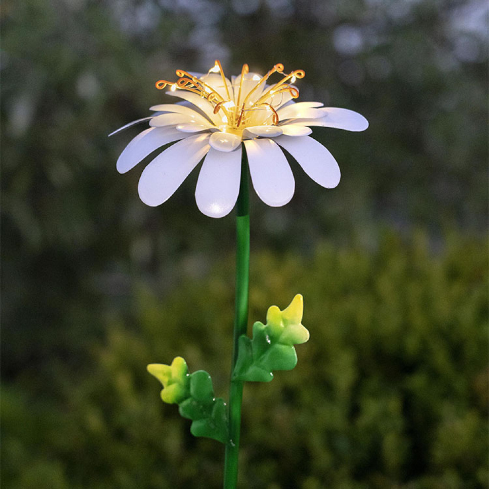 Solcellsblomma på spett, Daisy i gruppen Belysning / Utomhusbelysning / Solcellsbelysning hos SmartaSaker.se (13525)