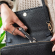 Nyckelhållare KeySmart Original Nyckelhållare KeySmart Original