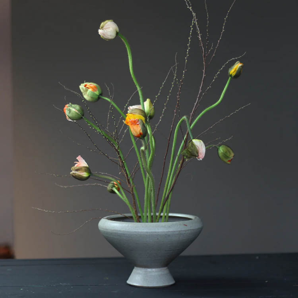 Blomsterfakir i gruppen Hemmet / Inredning hos SmartaSaker.se (13574)