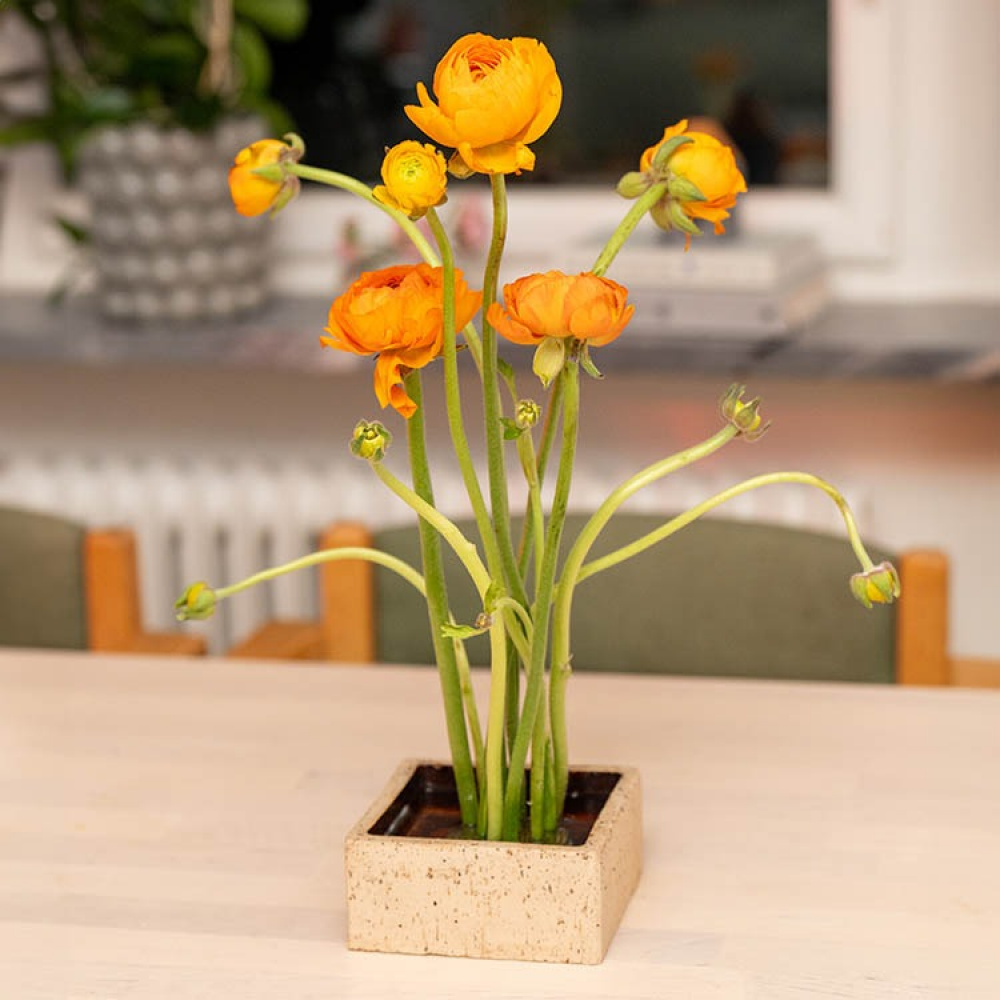 Blomsterfakir i gruppen Hemmet / Inredning hos SmartaSaker.se (13574)