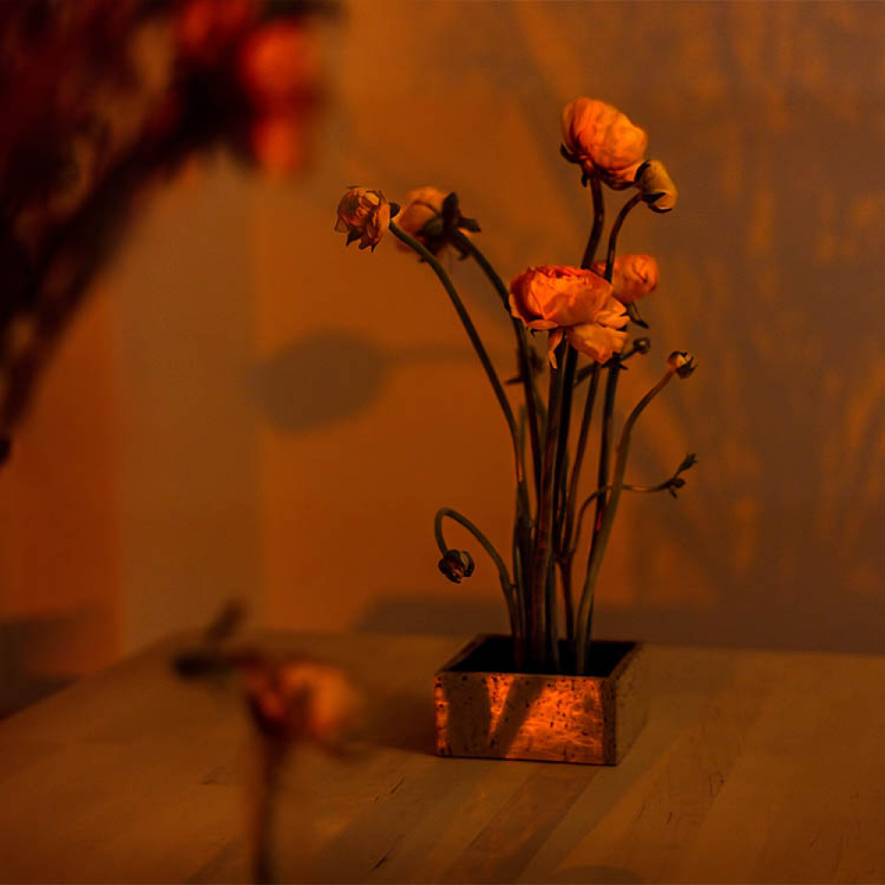 Blomsterfakir i gruppen Hemmet / Inredning hos SmartaSaker.se (13574)