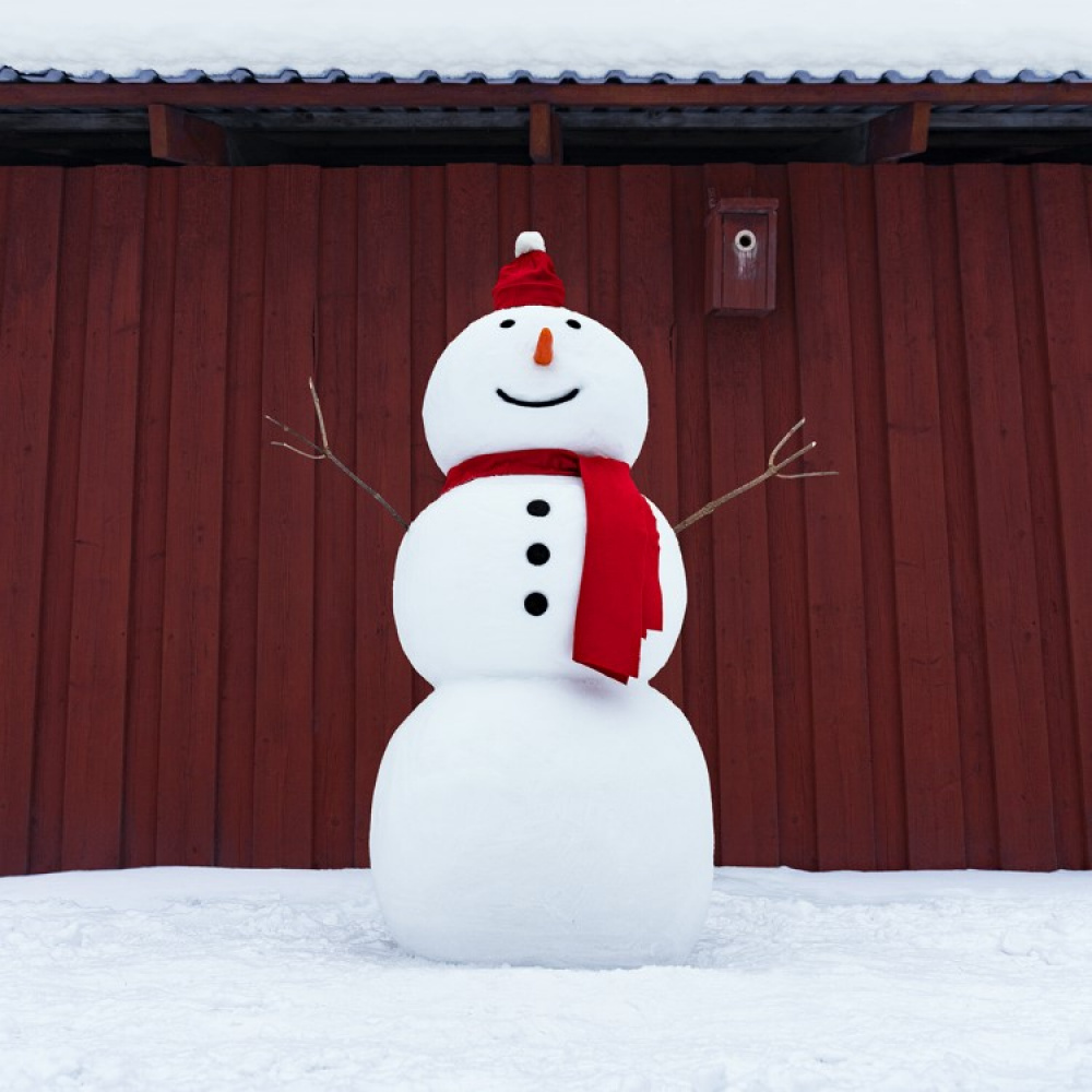 Snöskulptursäck i gruppen Fritid / Vinterprylar hos SmartaSaker.se (13647)