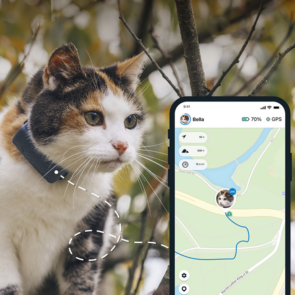 GPS katt Tractive GPS tracker till katten SmartaSaker
