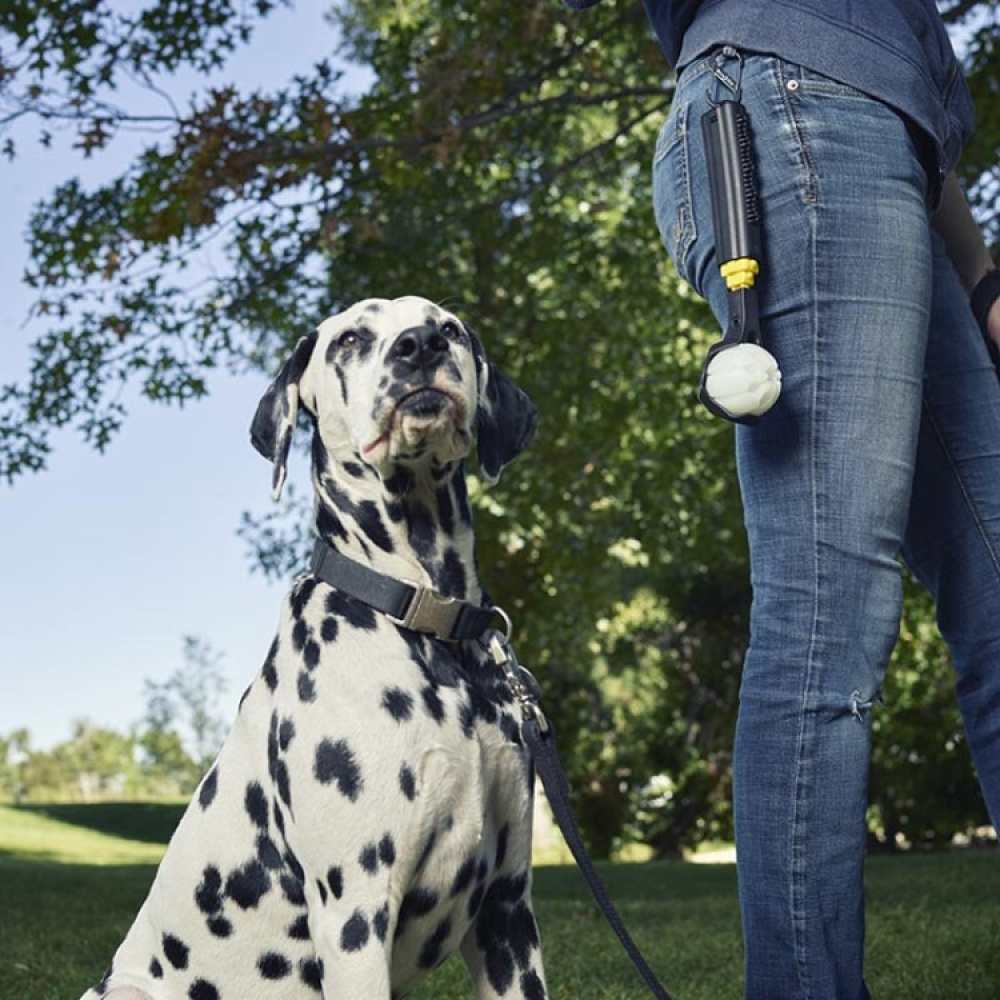 Hopfällbar bollkastare med LED-boll i gruppen Fritid / Husdjur / Hundsaker hos SmartaSaker.se (13682)