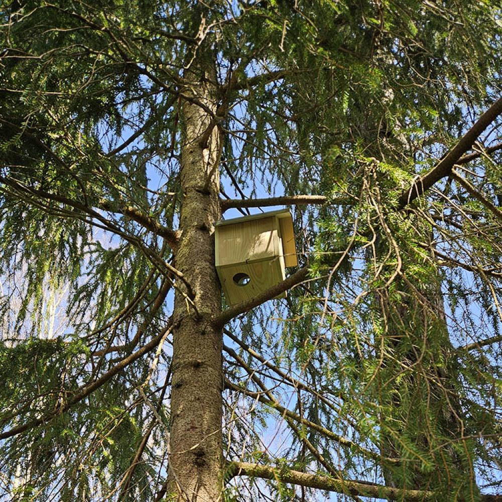 Ekorrhus i gruppen Hemmet / Trädgård / Holkar och Hotell hos SmartaSaker.se (13820)