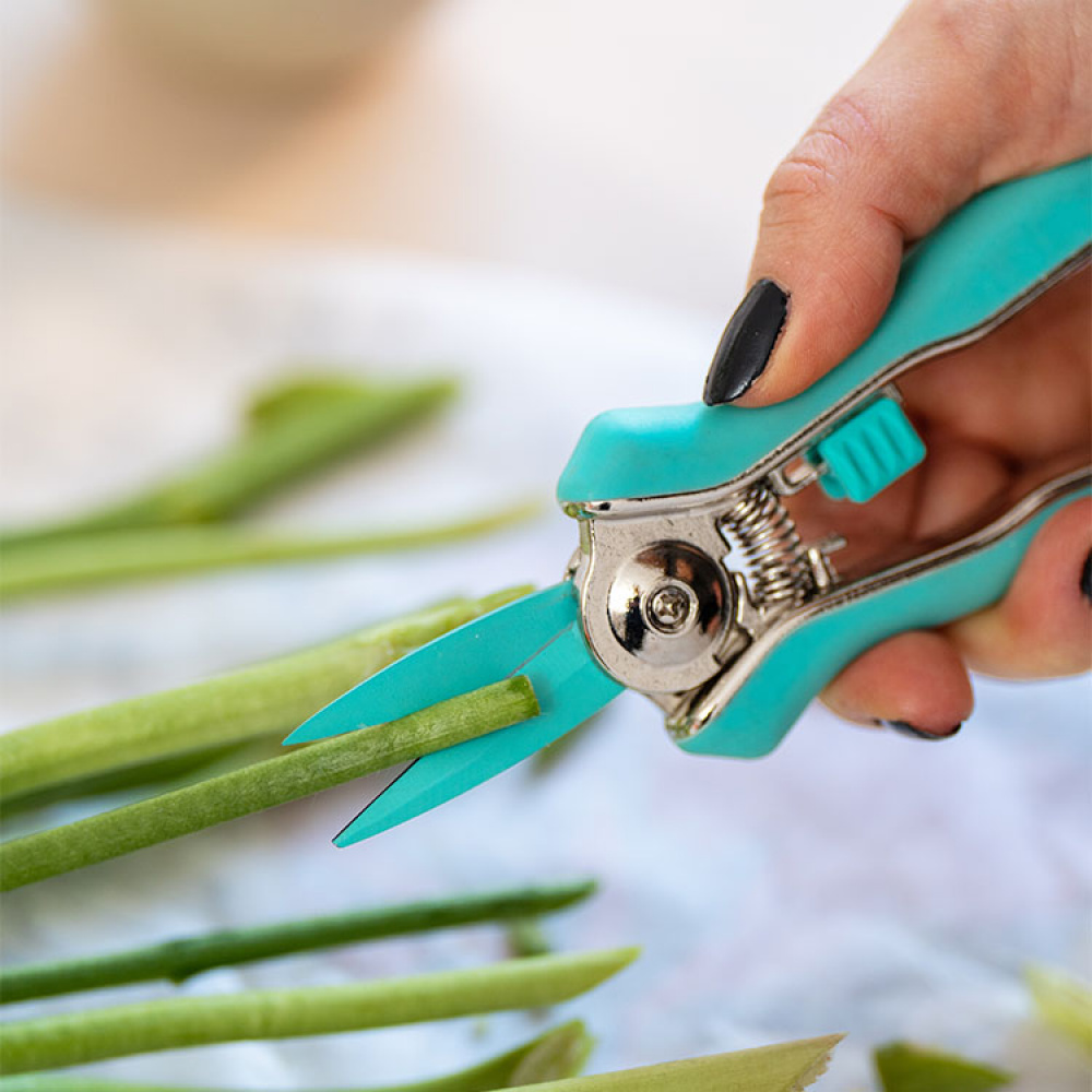 Blomstersax i gruppen Hemmet / Trädgård / Odla hos SmartaSaker.se (13974)