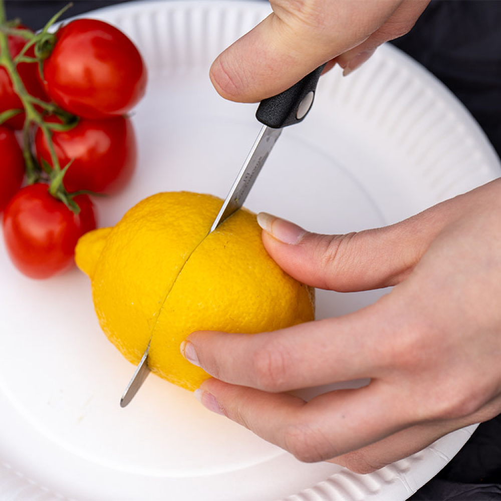 Fällbar picknickkniv i gruppen Fritid / Friluftsliv / Utrustning hos SmartaSaker.se (13988)