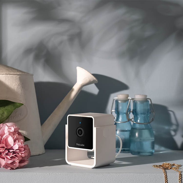 Husdjurskamera, PetCube i gruppen Fritid / Husdjur hos SmartaSaker.se (14160)