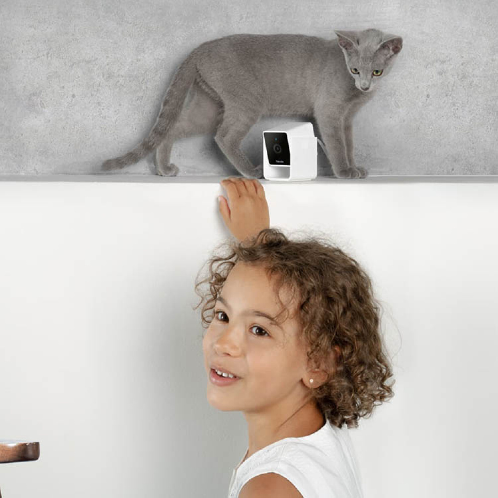 Husdjurskamera, PetCube i gruppen Aktuellt / Visa alla smarta saker hos SmartaSaker.se (14160)