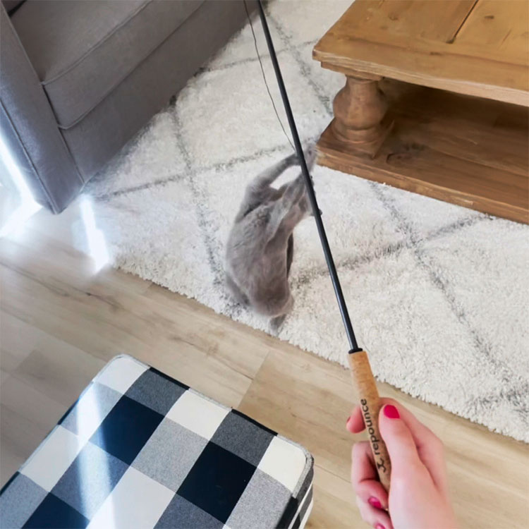 Kattspö i gruppen Fritid / Husdjur / Kattsaker hos SmartaSaker.se (14330)