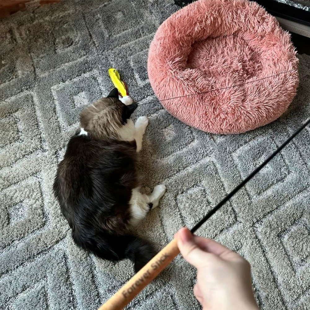 Kattspö i gruppen Fritid / Husdjur / Kattsaker hos SmartaSaker.se (14330)