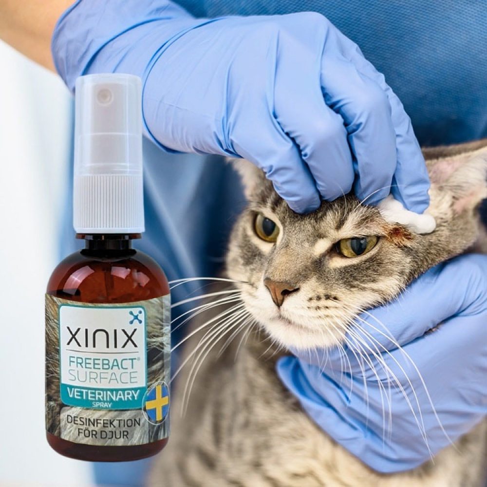 Desinfektionsspray för djur, Xinix FreeBact Surface i gruppen Fritid / Husdjur hos SmartaSaker.se (14332)