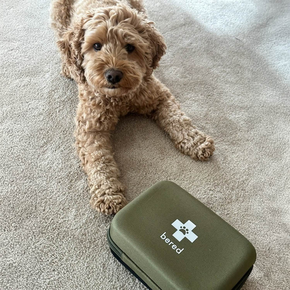 Första hjälpen-kit för hund och katt, Bered i gruppen Fritid / Husdjur hos SmartaSaker.se (14359)