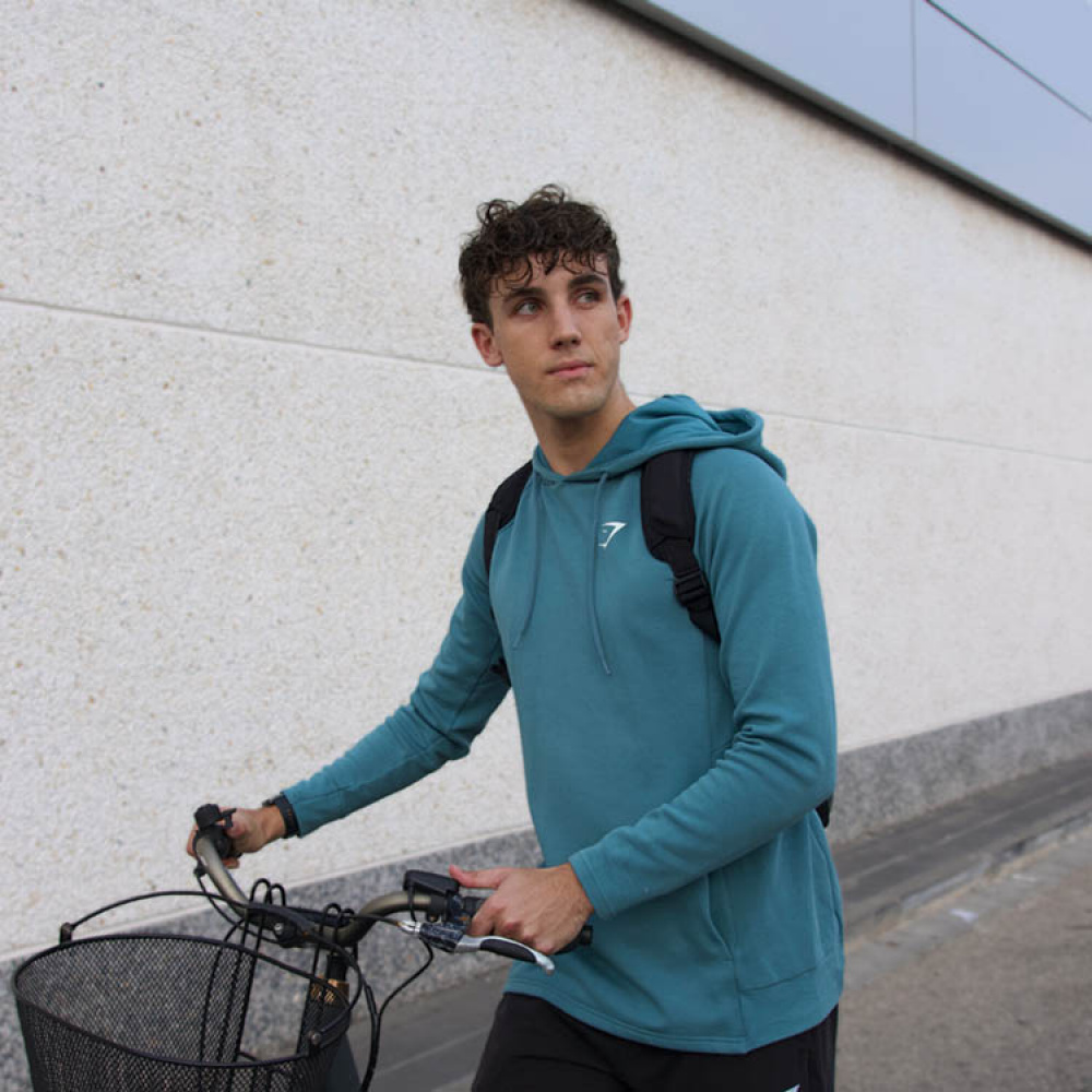 Väska till elcykelbatteri, ELBOLZO i gruppen Fordon / Cykeltillbehör hos SmartaSaker.se (14388)