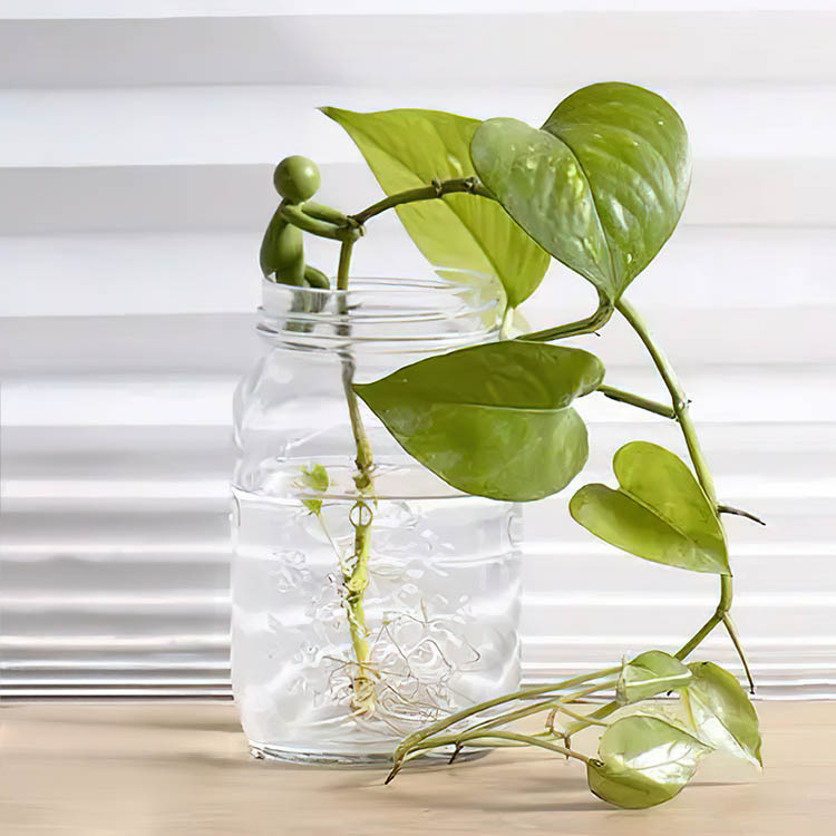 Växtstöd för sticklingar 3-pack i gruppen Hemmet / Trädgård hos SmartaSaker.se (14433)