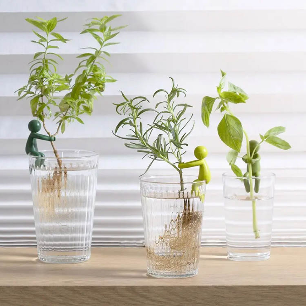 Växtstöd för sticklingar 3-pack i gruppen Hemmet / Trädgård hos SmartaSaker.se (14433)