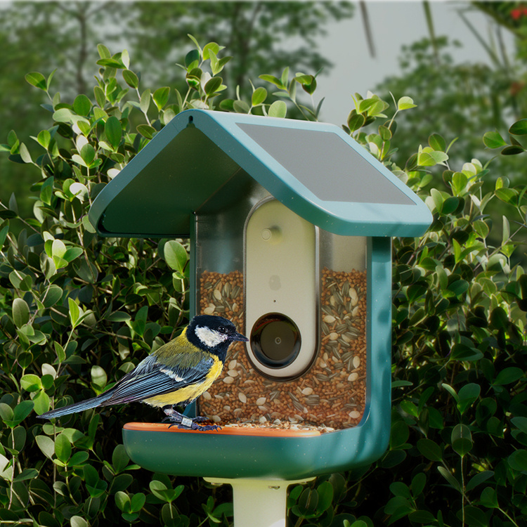 Fågelmatare med kamera, Birdbuddy i gruppen Hemmet / Trädgård / Holkar och Hotell hos SmartaSaker.se (14643)