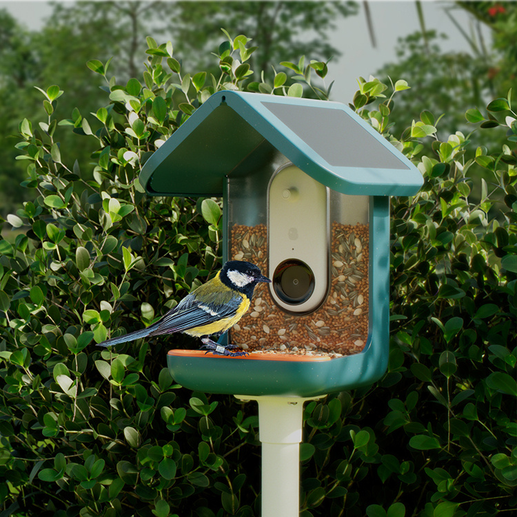 Fågelmatare med kamera, Birdbuddy i gruppen Trädgård / Holkar och Hotell hos SmartaSaker.se (14643)