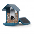 Fågelmatare med kamera, Birdbuddy