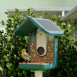 Fågelmatare med kamera, Birdbuddy