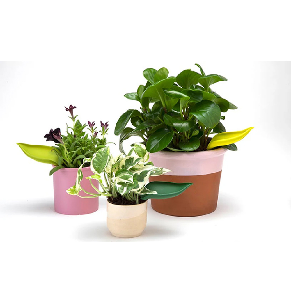 Bevattningstratt till kruka, 3-pack i gruppen Hemmet / Trädgård / Bevattning hos SmartaSaker.se (14677)